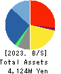 Global Security Experts Inc. Balance Sheet 2023年Mar期 Global Security Experts Inc. Balance Sheet 2023年3月期