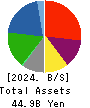 SATUDORA HOLDINGS CO.,LTD. Balance Sheet 2024年May期 SATUDORA HOLDINGS CO.,LTD. Balance Sheet 2024年5月期