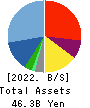 Human Holdings Co.,Ltd. Balance Sheet 2022年Mar期 Human Holdings Co.,Ltd. Balance Sheet 2022年3月期