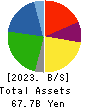 YAKUODO HOLDINGS Co.,Ltd. Balance Sheet 2023年Feb期 YAKUODO HOLDINGS Co.,Ltd. Balance Sheet 2023年2月期
