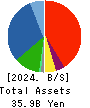 nms Holdings Corporation Balance Sheet 2024年3月期