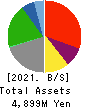 TAYA Co.,Ltd. Balance Sheet 2021年Mar期 TAYA Co.,Ltd. Balance Sheet 2021年3月期