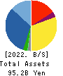 MCJ Co.,Ltd. Balance Sheet 2022年Mar期 MCJ Co.,Ltd. Balance Sheet 2022年3月期