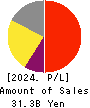 Digital Garage, Inc. Profit and Loss Account 2024年3月期