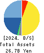 UNITED, Inc. Balance Sheet 2024年3月期