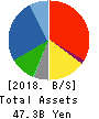 OCHI HOLDINGS CO.,LTD. Balance Sheet 2018年Mar期 OCHI HOLDINGS CO.,LTD. Balance Sheet 2018年3月期