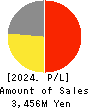 Voltage Incorporation Profit and Loss Account 2024年Jun期 Voltage Incorporation Profit and Loss Account 2024年6月期