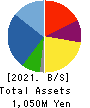 INSIGHT INC. Balance Sheet 2021年6月期