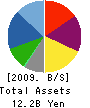 Stellar Group Co.,Ltd. Balance Sheet 2009年2月期