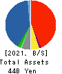 GFOOT CO.,LTD. Balance Sheet 2021年Feb期 GFOOT CO.,LTD. Balance Sheet 2021年2月期