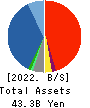 GFOOT CO.,LTD. Balance Sheet 2022年Feb期 GFOOT CO.,LTD. Balance Sheet 2022年2月期