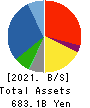 TOHO HOLDINGS CO.,LTD. Balance Sheet 2021年3月期