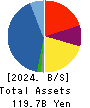 HAGIWARA ELECTRIC HOLDINGS CO., LTD. Balance Sheet 2024年Mar期 HAGIWARA ELECTRIC HOLDINGS CO., LTD. Balance Sheet 2024年3月期