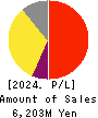 Enigmo Inc. Profit and Loss Account 2024年1月期