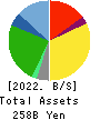 ARCS COMPANY,LIMITED Balance Sheet 2022年2月期