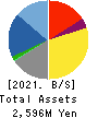 SIG Group Co.,Ltd. Balance Sheet 2021年Mar期 SIG Group Co.,Ltd. Balance Sheet 2021年3月期
