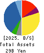 TOKAI ELECTRONICS CO.,LTD. Balance Sheet 2025年Mar期 TOKAI ELECTRONICS CO.,LTD. Balance Sheet 2025年3月期
