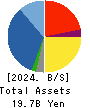 APPLE INTERNATIONAL CO.,LTD. Balance Sheet 2024年Dec期 APPLE INTERNATIONAL CO.,LTD. Balance Sheet 2024年12月期