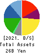 SAINT-CARE HOLDING CORPORATION Balance Sheet 2021年Mar期 SAINT-CARE HOLDING CORPORATION Balance Sheet 2021年3月期