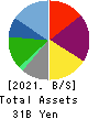 SRS HOLDINGS CO.,LTD. Balance Sheet 2021年Mar期 SRS HOLDINGS CO.,LTD. Balance Sheet 2021年3月期