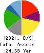 ATOM CORPORATION Balance Sheet 2021年3月期