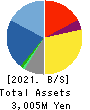 gooddays holdings,Inc. Balance Sheet 2021年3月期
