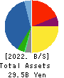 TOKAI ELECTRONICS CO.,LTD. Balance Sheet 2022年Mar期 TOKAI ELECTRONICS CO.,LTD. Balance Sheet 2022年3月期