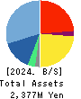 CORREC Co., Ltd. Balance Sheet 2024年2月期