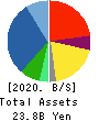 OPTIMUS GROUP COMPANY LIMITED Balance Sheet 2020年3月期