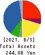 ARE Holdings, Inc. Balance Sheet 2021年Mar期 ARE Holdings, Inc. Balance Sheet 2021年3月期