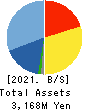 Ricksoft Co.,Ltd. Balance Sheet 2021年2月期