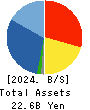 DVx Inc. Balance Sheet 2024年3月期