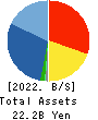 DVx Inc. Balance Sheet 2022年Mar期 DVx Inc. Balance Sheet 2022年3月期