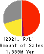 Datasection Inc. Profit and Loss Account 2021年Mar期 Datasection Inc. Profit and Loss Account 2021年3月期
