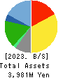 FLYING GARDEN CO.,LTD. Balance Sheet 2023年Mar期 FLYING GARDEN CO.,LTD. Balance Sheet 2023年3月期