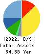 PROTO CORPORATION Balance Sheet 2022年3月期