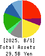 DAISYO CORPORATION Balance Sheet 2025年8月期