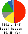 VIA Holdings,Inc. Balance Sheet 2021年3月期