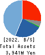 Japaniace Co.,Ltd. Balance Sheet 2022年Nov期 Japaniace Co.,Ltd. Balance Sheet 2022年11月期