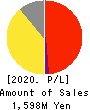 i-plug,Inc. Profit and Loss Account 2020年3月期