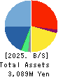 CORREC HOLDINGS Inc. Balance Sheet 2025年2月期