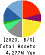 SIG Group Co.,Ltd. Balance Sheet 2023年3月期