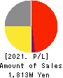 circlace Inc Profit and Loss Account 2021年Mar期 circlace Inc Profit and Loss Account 2021年3月期