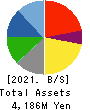 SAYLOR ADVERTISING INC. Balance Sheet 2021年Mar期 SAYLOR ADVERTISING INC. Balance Sheet 2021年3月期
