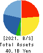 WIN-Partners Co., Ltd. Balance Sheet 2021年Mar期 WIN-Partners Co., Ltd. Balance Sheet 2021年3月期