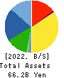 YONEX CO.,LTD. Balance Sheet 2022年Mar期 YONEX CO.,LTD. Balance Sheet 2022年3月期