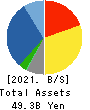 TAKEBISHI CORPORATION Balance Sheet 2021年3月期