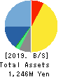 Sockets Inc. Balance Sheet 2019年Mar期 Sockets Inc. Balance Sheet 2019年3月期