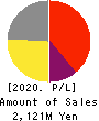 Birdman Inc. Profit and Loss Account 2020年6月期