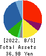 SUGITA ACE CO.,LTD. Balance Sheet 2022年Mar期 SUGITA ACE CO.,LTD. Balance Sheet 2022年3月期